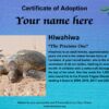 Hiwahiwa (The Precious One) - Female - Image 3
