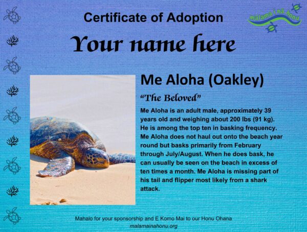 Me Aloha (Oakley) - Male - Image 3