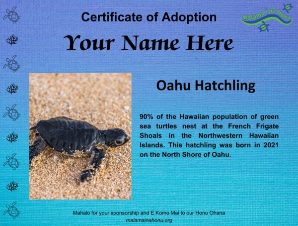 Oahu Hatchling - Future Basker - Image 2