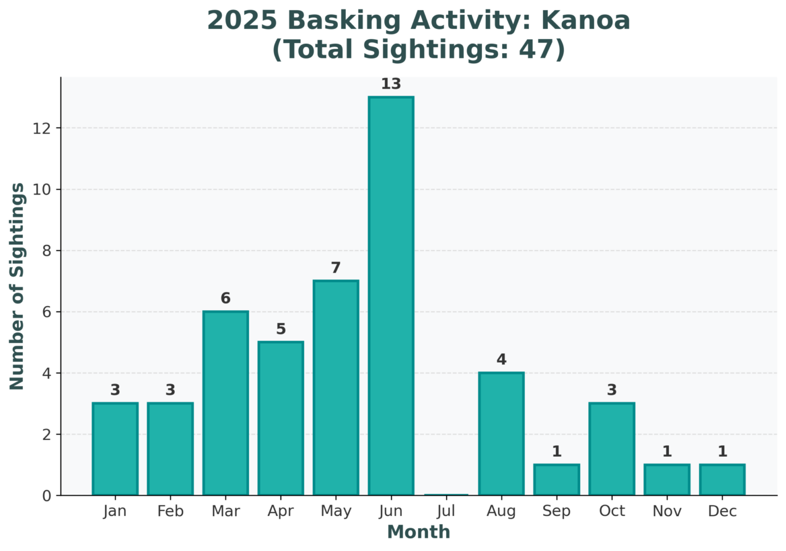 Kanoa (The Free One) - Juvenile - Image 4