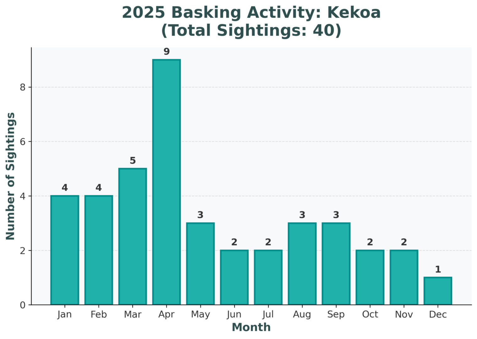 Kekoa - Sub-Adult/Juvenile - Image 4