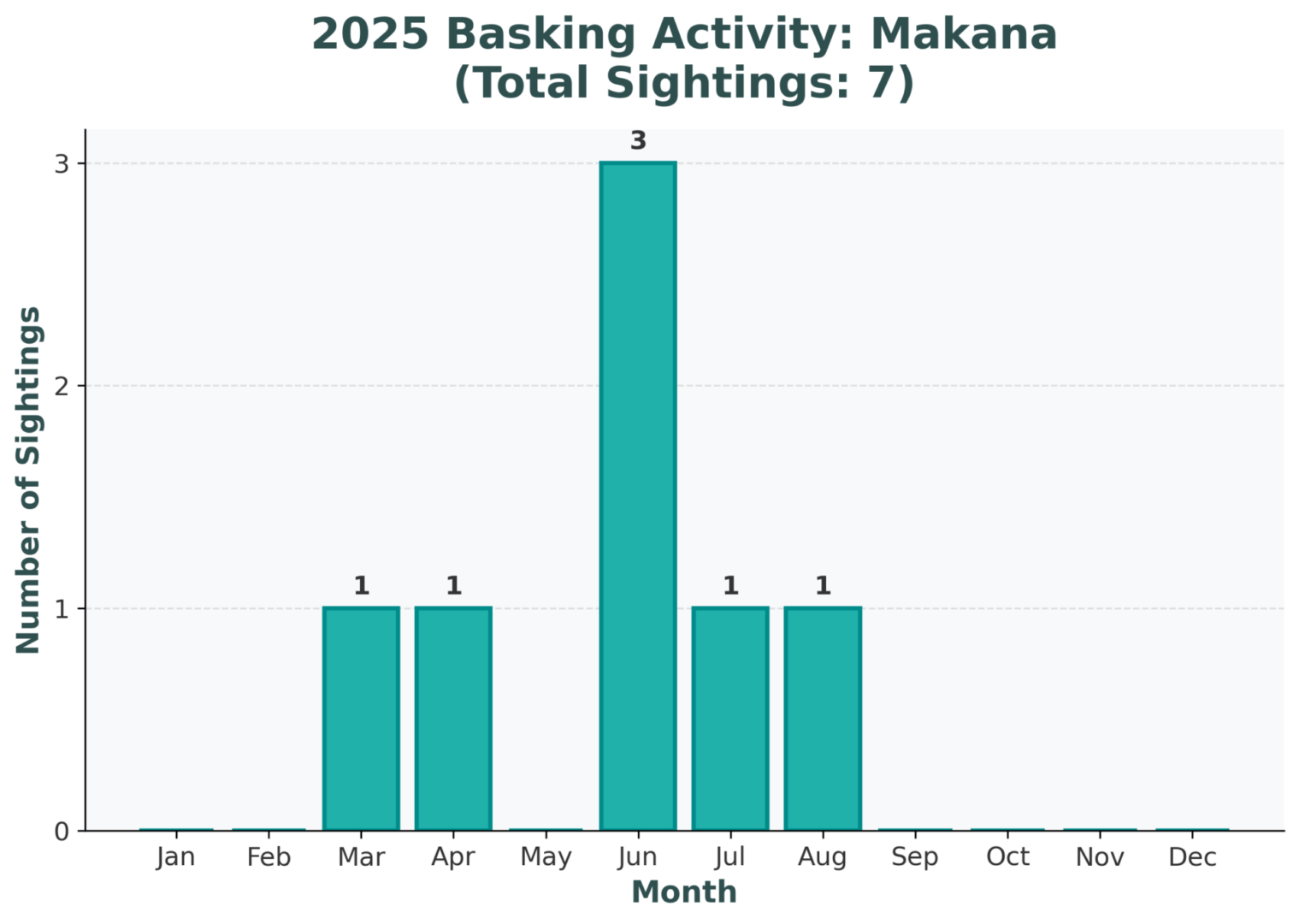 Makana - Juvenile - Image 4