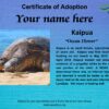 Kaipua (Ocean Flower) - Female - Image 2