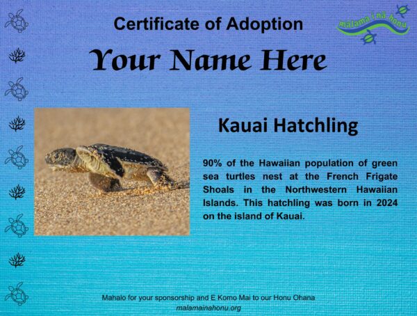 Kauai Hatchling - Future Basker - Image 2